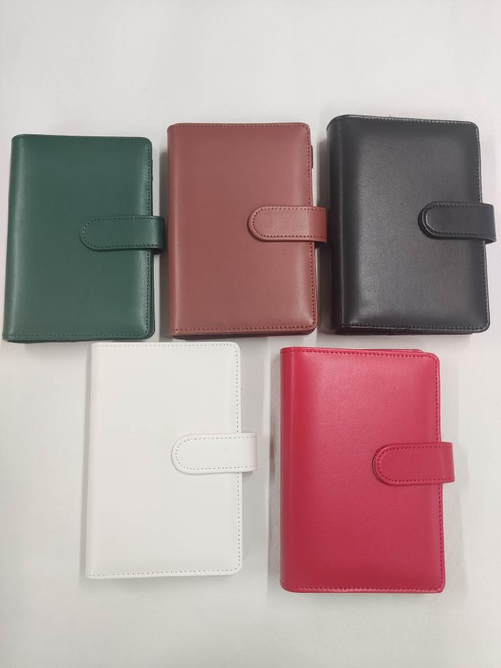 Budget Binder image 0
